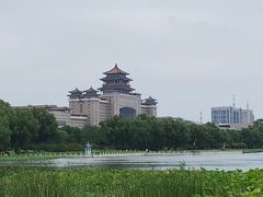 -莲花池公园