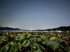 -西湖文化广场