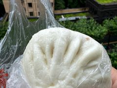 -和善园手工大包子(常德路店)