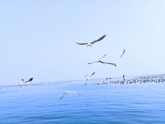 -日丰园海肠水饺·老字号大连海鲜(和平广场店)
