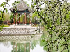 -达活泉公园