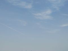 -顽啤熊·酒客酒馆(苏城夜景必选店)