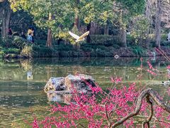 -杭州植物园