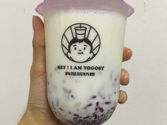 吃燕麦酸奶-我是酸奶君(壹方城店)
