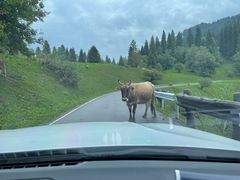 -新疆那拉提国家旅游度假区