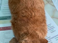 -百信宠物医院(东升街店)