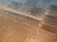 -Jeans Coffee牛仔裤咖啡