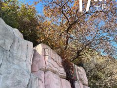 -北京西山国家森林公园