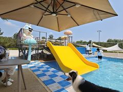 -爪吧宠物乐园 (温榆河示范区店)