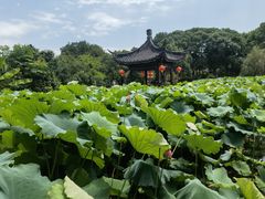 -丝绸小镇荻港古村
