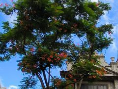 -赤坎·广东华侨国际旅游度假区