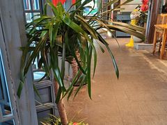 -永安水煮活鱼·仪征菜(仪征奥林匹克店)