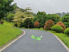 -东莞植物园