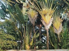 -白沙门生态公园