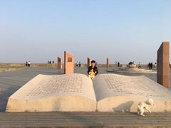 -南汇嘴观海公园