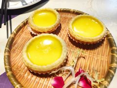 -点都德·毕德寮