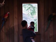 -杭州开元森泊度假乐园