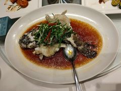 -海都六福酒家(世博广场店)