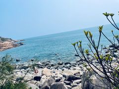 -广东惠东海龟国家级自然保护区