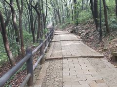 -苏州上方山国家森林公园