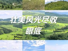 -崇礼喜鹊梁