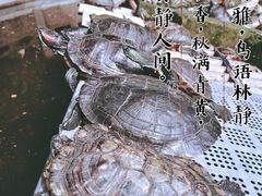 -西安大兴善寺