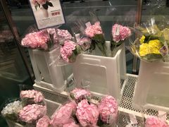 -盒马X会员店(上海森兰商都店)