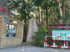 -白渔泡湿地公园