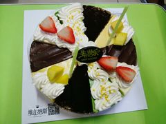 -维尔纳斯·生日蛋糕动物奶油冰淇淋蛋糕(人大店)