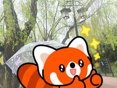 -西安曲江寒窑遗址公园