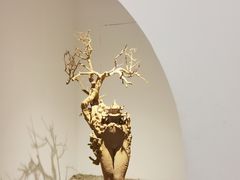 -苏州本色美术馆