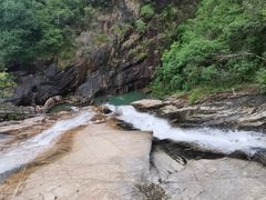 -广州白江湖森林公园