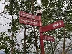 -灵顺寺