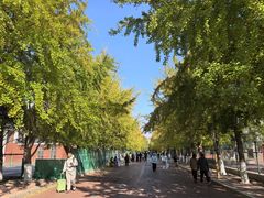 -辽宁大学(崇山校区)