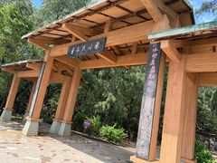 -北海金海湾红树林生态旅游区