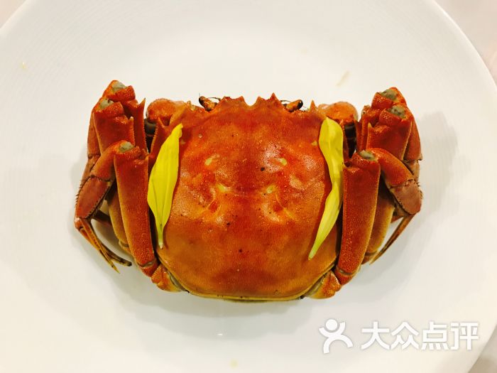 成隆行蟹王府(金茂店)清蒸大闸蟹图片 - 第33张