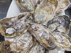 -蚝专家(北滘店)