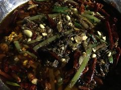 鳝鱼-三哥田螺(北书院街店)