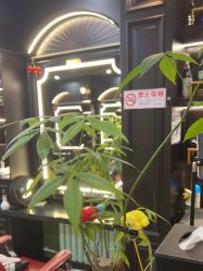 -豪帅男士理容馆