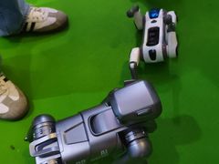 -甘肃国际会展中心