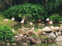 -石排湾郊野公园