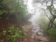 -阳台山自然风景区