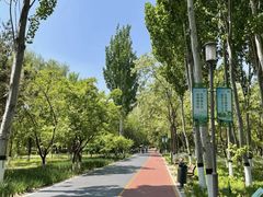 -大兴滨河森林公园