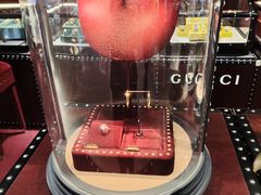 -GUCCI(沈阳万象城店)