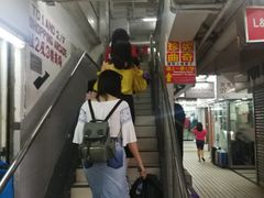 -珍妮曲奇聪明小熊(尖沙咀店)