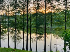 -广州市白云山风景名胜区