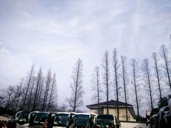 -定园