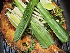 -云海肴·汽锅鸡·云南菜(天津国金汇店)