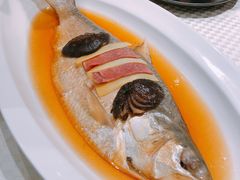 -望乡楼上海菜(日月光店)