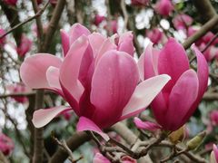 -桃花涧